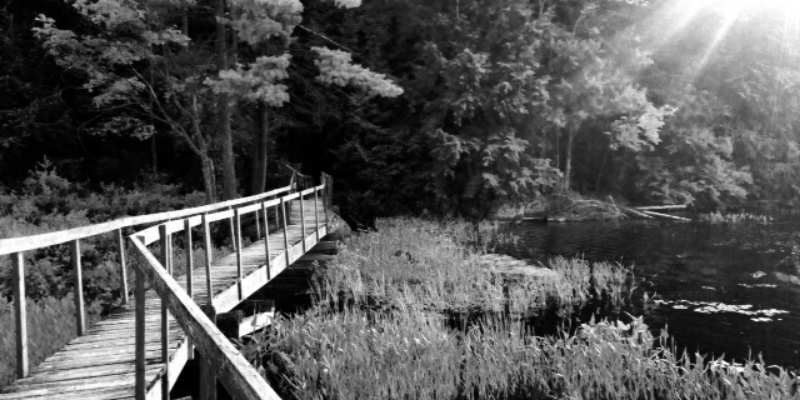 bridge on hardy lake trail
